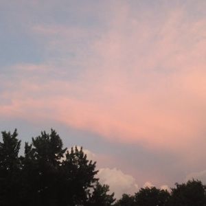 Meet your Posher, Sandy